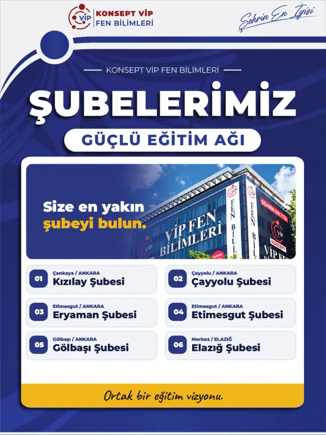 Konsept VİP · Şubelerimiz · Sosyal Medya Tasarımı